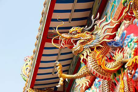 brown and white dragon sculpture on wall thumbnail
