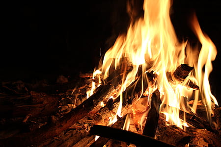 fire on firewood thumbnail