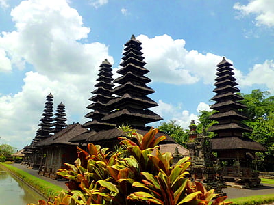brown nipa huts surrounded by green leafed trees during daytime thumbnail
