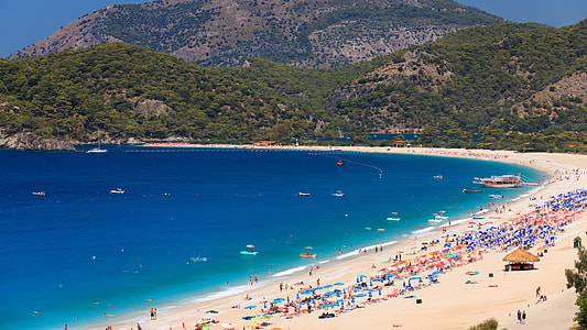 people on beach during daytime thumbnail