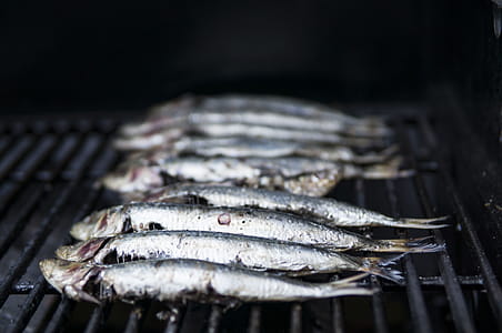 Photo of Raw Fish on Grill thumbnail