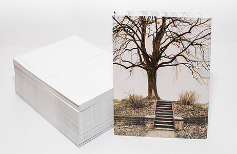 bare tree and white box collage thumbnail