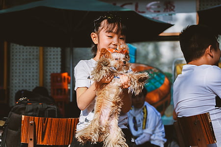 girl carrying tan and black Yorkshire terrier thumbnail