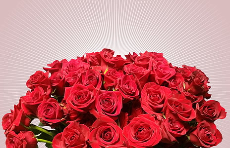 bouquet of red rose thumbnail