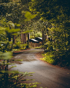 wide angle photo of gray curve road thumbnail