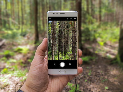 person holding smartphone displaying camera application at daytime thumbnail
