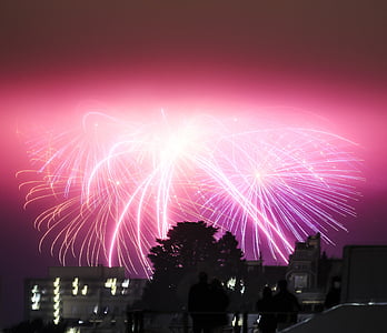 photography of firework in sky above trees and house thumbnail