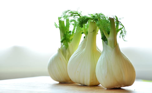 fennel, vegetables, fennel bulb, food thumbnail