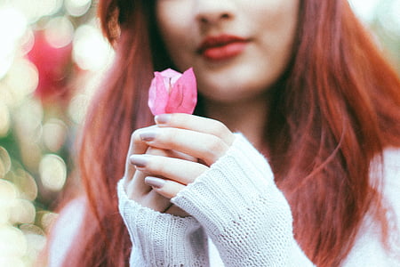 selective focus photo of woman holding pink bougainvillea flower thumbnail