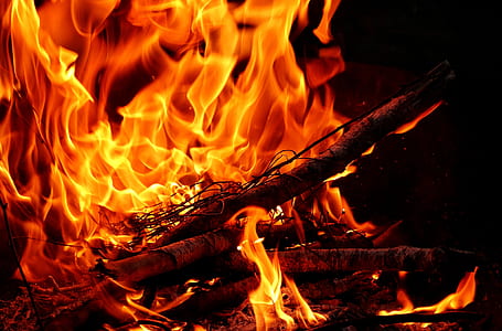 burning wood thumbnail