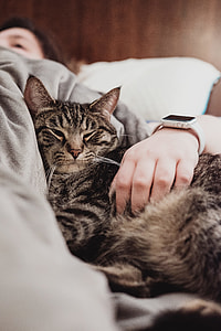 woman lying beside black cat inside room thumbnail