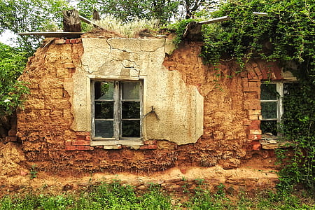 wreck house in forest thumbnail