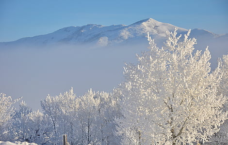 white snow thumbnail