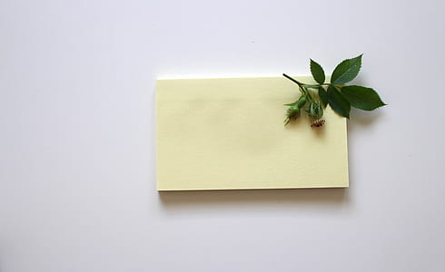 green leaf on white sticky notes thumbnail