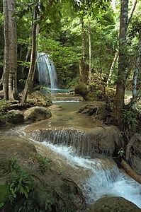 water flows near green trees at daytime thumbnail