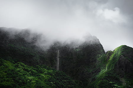 green leaf trees under white clouds at daytime thumbnail