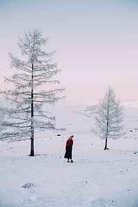 person standing on snow field beside pine tree thumbnail