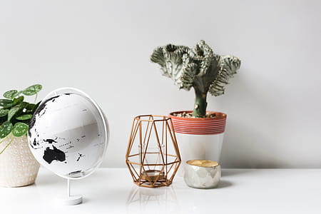 Plants And Table Decorations Photo thumbnail