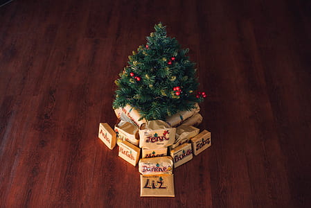 green Christmas tree thumbnail