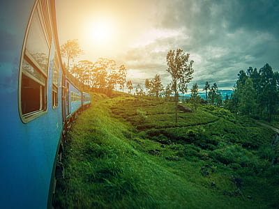 blue train beside green grass during daytime thumbnail