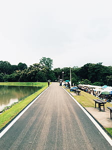wood, road, traffic, landscape thumbnail