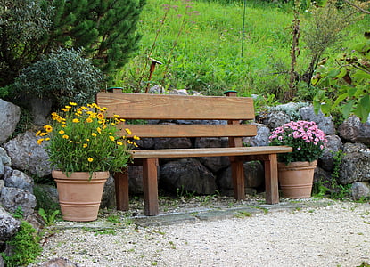 brown wooden bench between purple and yellow chrysanthemums thumbnail