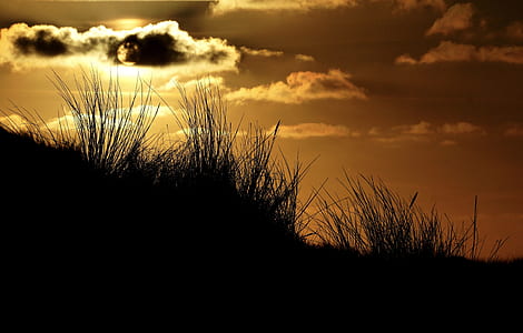 dawn, landscape, nature, sky thumbnail