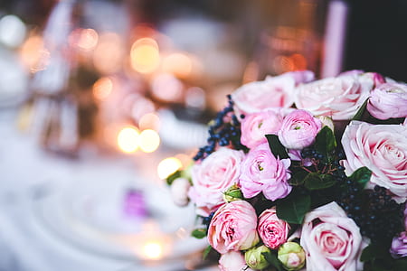 focus photography of pink rose bouquet thumbnail