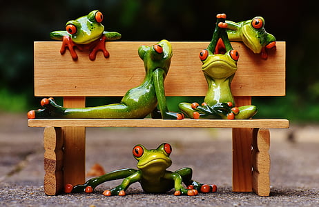five green tree frogs on brown wooden bench thumbnail