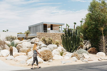 woman in gray sleeveless top with black and gray pants outfit walking near rocks and cactus under blue sky during daytime thumbnail