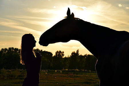 silhouette view of a woman infront of a horse face thumbnail