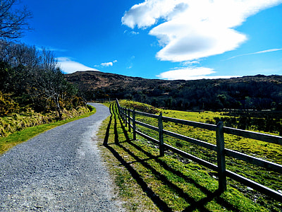 gray wooden fence near concrete road thumbnail