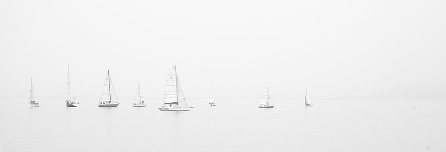 white boat's on sailing thumbnail