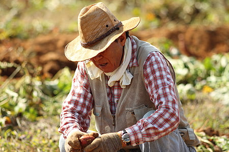 man sitting while holding carrots thumbnail