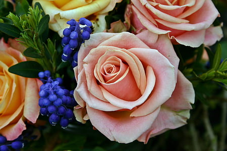 pink and yellow flowers photo thumbnail