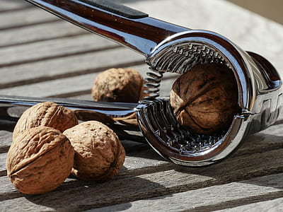 five brown nuts and stainless steel nutcracker on brown wooden surface thumbnail