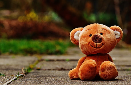 bear plush toy on gray surface thumbnail