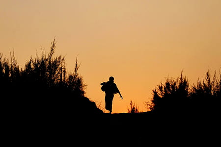 silhouette of person during golden hour thumbnail
