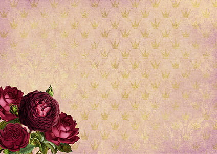 four red petaled flowers thumbnail