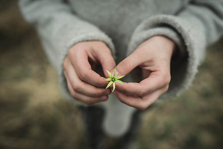person holding white flower thumbnail