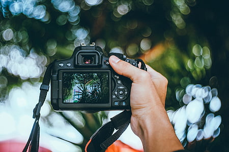 selective focus photography of person holding DSLR camera thumbnail