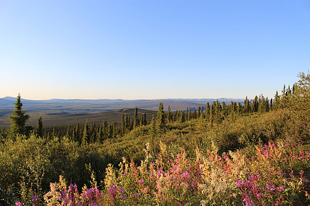 Landscape, Dempster Highway thumbnail