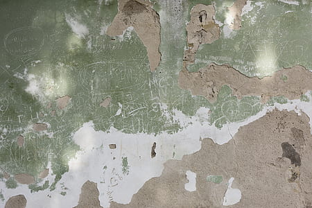 green and white wall paint thumbnail