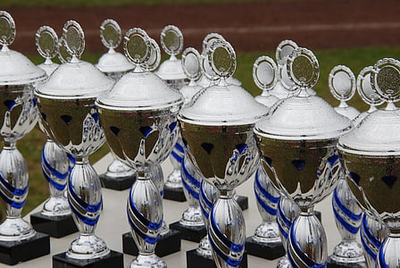 close-up photo of gray and blue metal trophy thumbnail