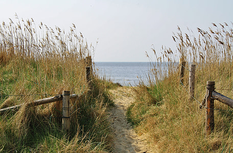 photo of ocean scenery thumbnail