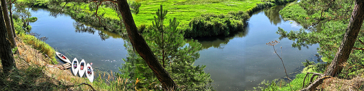 green leafed tree near body of water thumbnail
