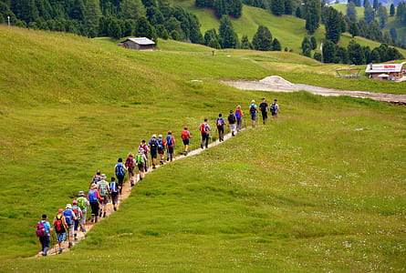 group of people walking on brown pathway in between of green grasses thumbnail