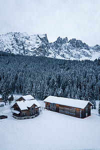 house surrounded by trees during winter thumbnail