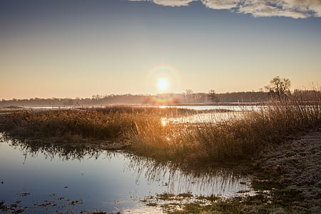 green grass near body of water thumbnail