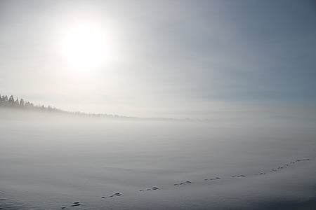 sun above dessert sand thumbnail